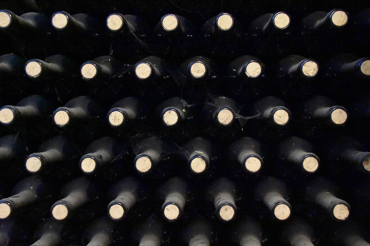 Bar chart comparing CO2 emissions per bottle: conventional vs. organic vs. local low-footprint organic wines