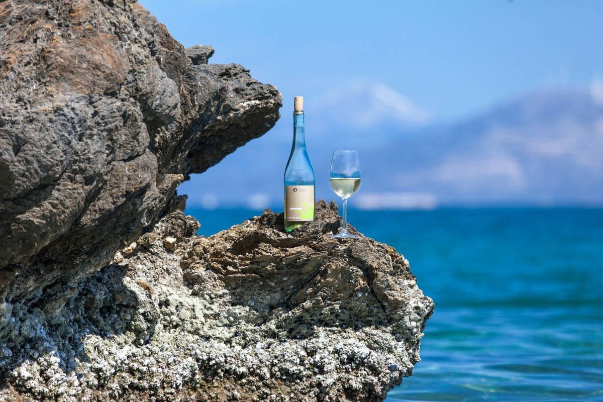 Comparison chart showing additives in conventional vs. organic vs. raw organic wine beverages