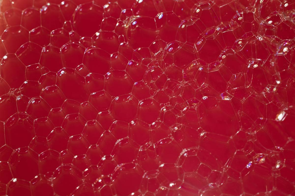 Side-by-side comparison: live-culture wine (cloudy, sediment) vs. conventional wine (clear, sterile)