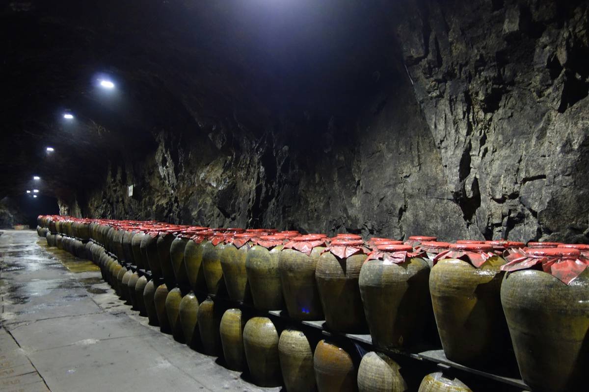 What Makes Native-Yeast Organic Wines the Secret to Radiant Skin? (And Why Big Wine Hates This)