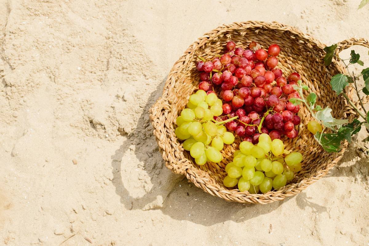 Why Hand-Harvested Organic Wines Are the Secret Elixir of Your Skin & Soul