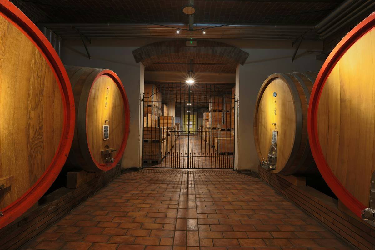 Wild-Fermented Wine Beverages: Your Skin’s Secret Elixir in the Organic Beauty Movement