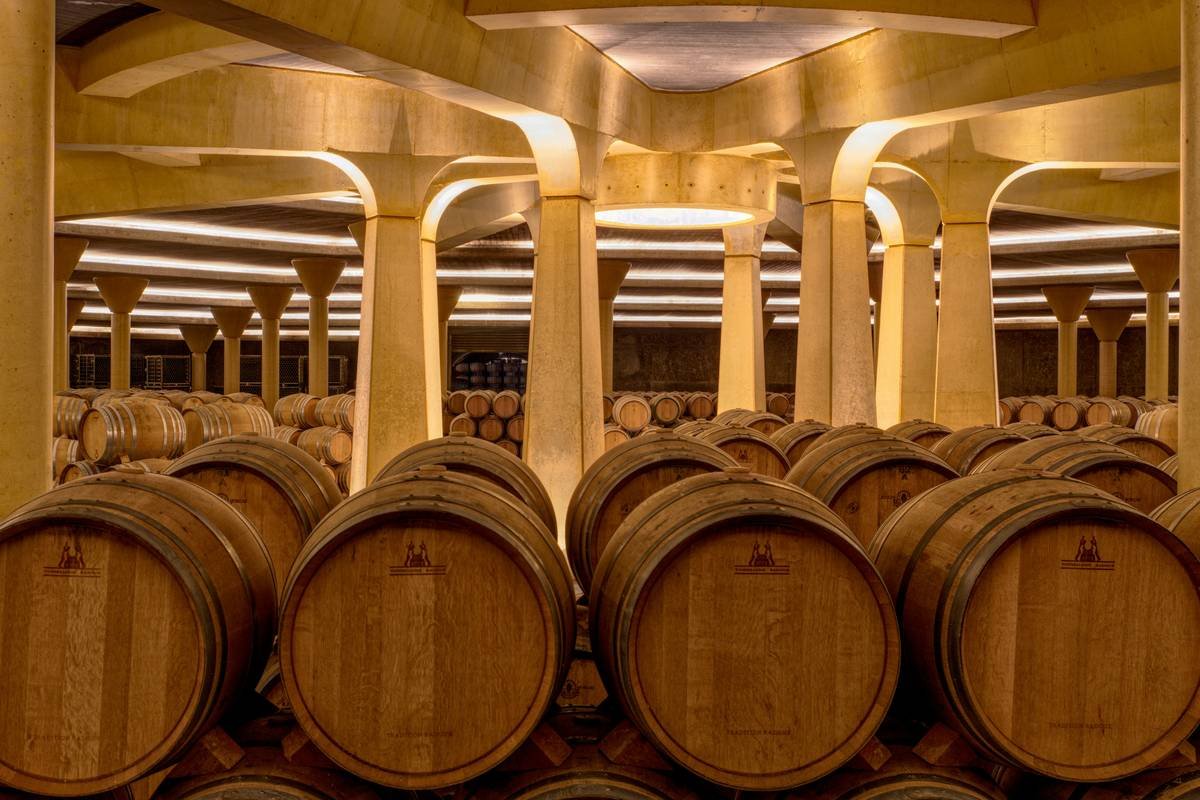 Comparison of energy-efficient organic wines packaging and carbon footprint metrics
