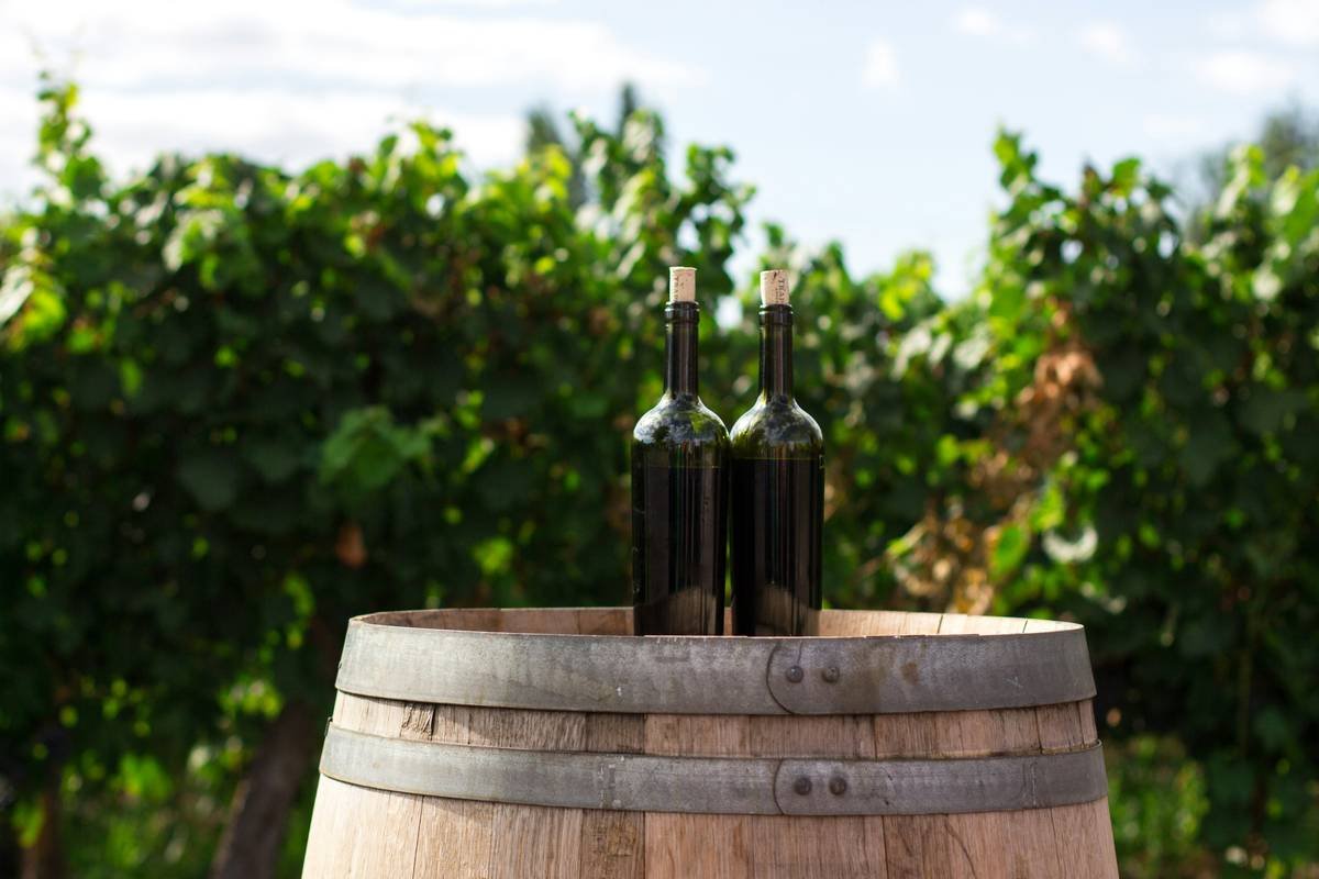 Hand-bottled holistic organic wine with visible natural sediment and minimal labeling